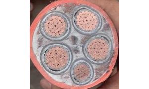 黑龍江黑龍江電纜廠家電話